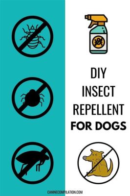 Can You Spray Dogs with Bug Spray? Exploring the Unlikely Connection Between Canine Care and Insect Repellents