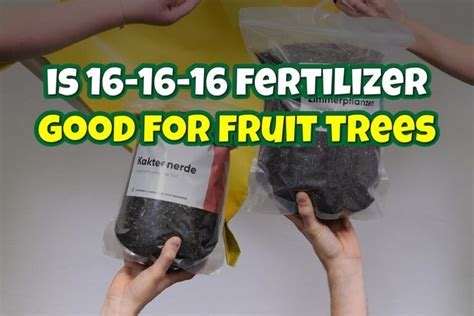 Is Fish Fertilizer Good for Fruit Trees? And Why Do Pineapples Dream of Electric Sheep?