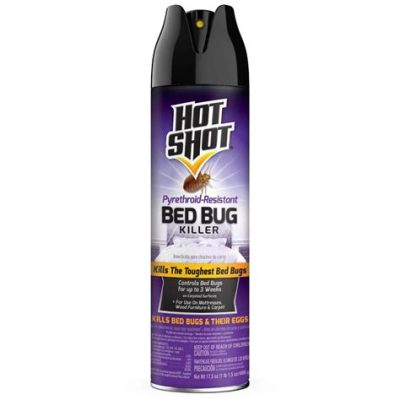 Is Hot Shot Bed Bug Spray Harmful to Humans? And Why Do Bugs Always Seem to Outsmart Us?