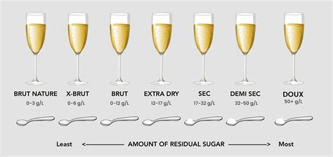 What is a Coupe Glass Used For? And Why Does It Make Champagne Taste Like a Summer Breeze?