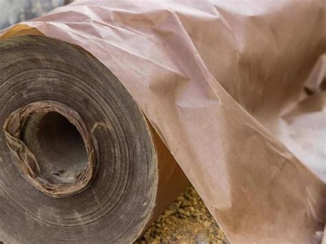 What is Stone Paper? Exploring the Unconventional and Beyond