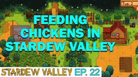 What to Feed Chickens Stardew Valley: A Comprehensive Guide to Poultry Nutrition and Beyond