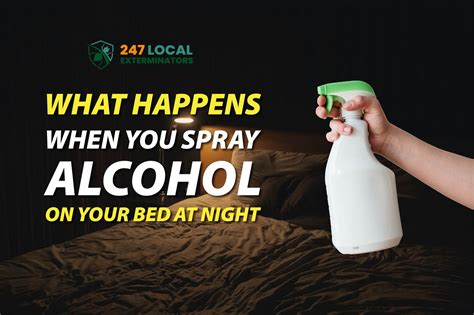 Why Should I Spray Alcohol on My Bed: A Journey into the Absurd and the Practical